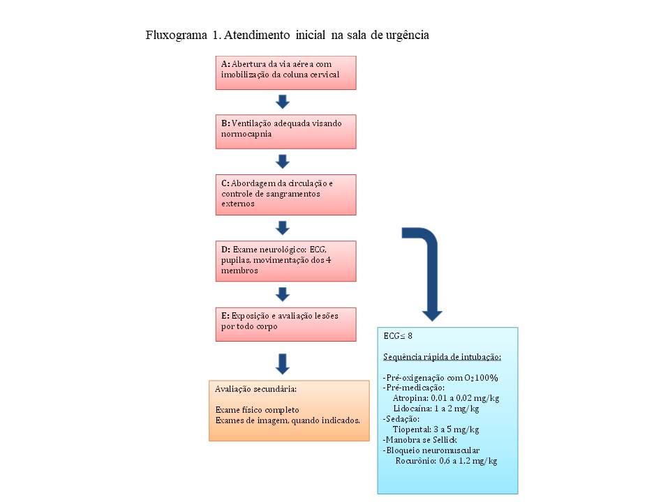 Fluxograma 1