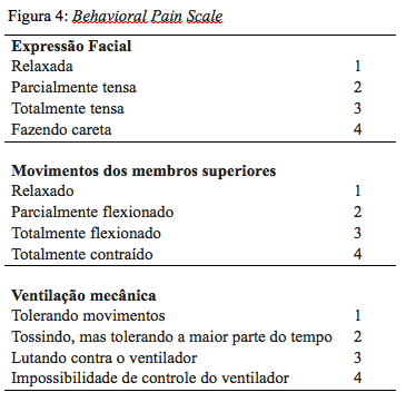 Figura 4: Behavioral Pain Scale