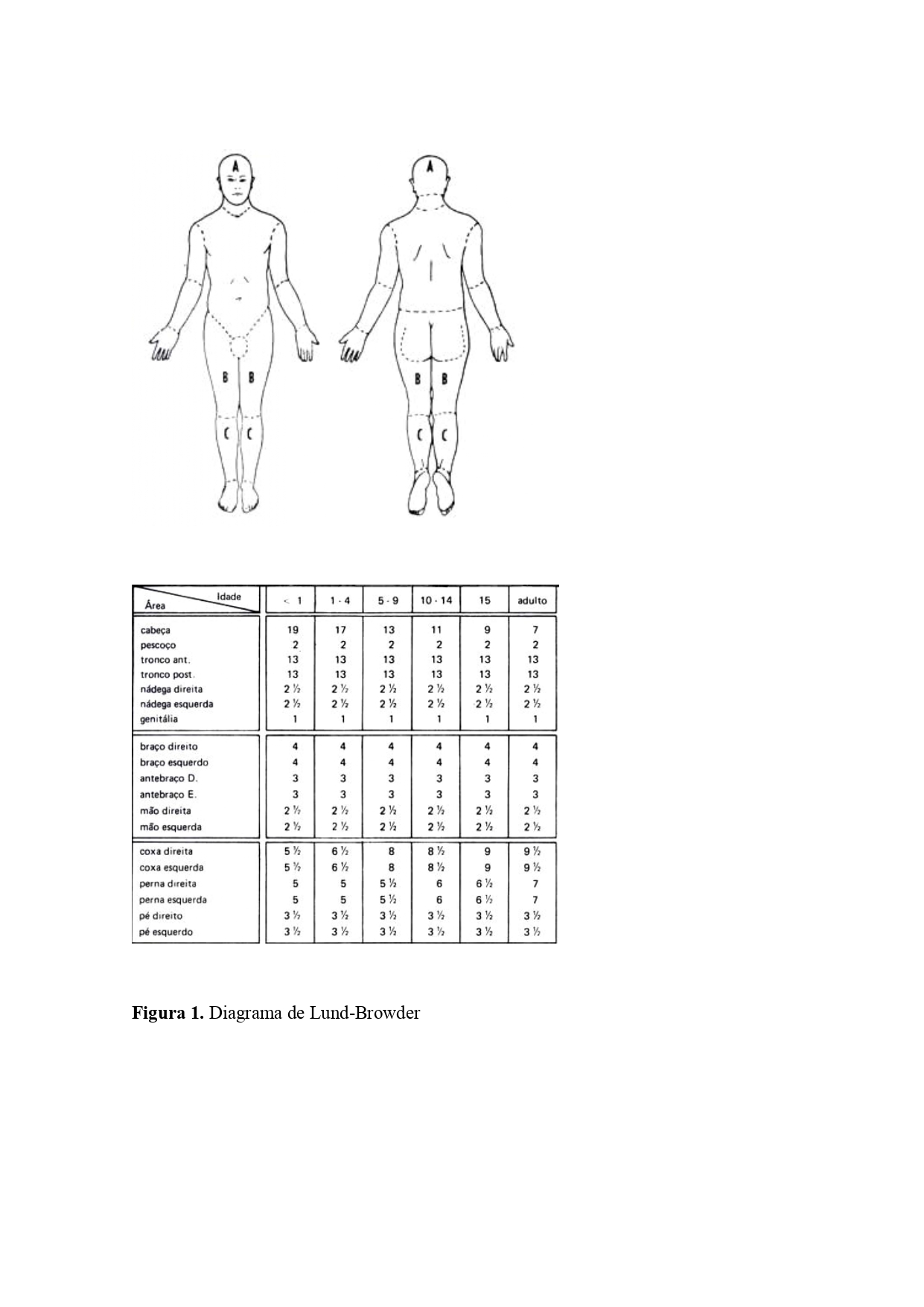 Figura 1