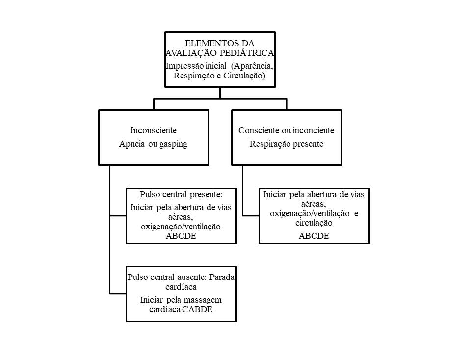 Figura 3